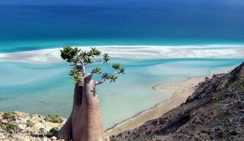 جزيرة سقطرى في اليمن