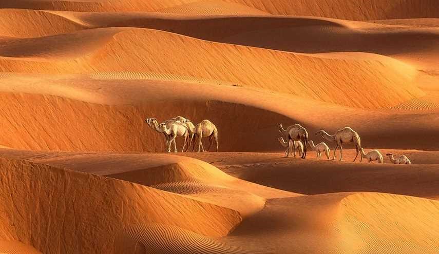 الرمال المتحركة المحيطة بمدينة دبي