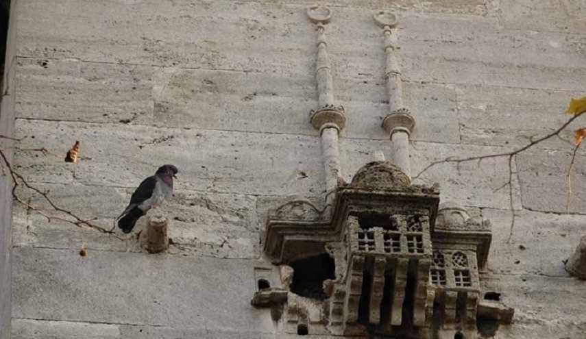 سارشه سَراي: قصور للطيور معلّقة بمنازل البشر في تركيا من العصر العثماني!