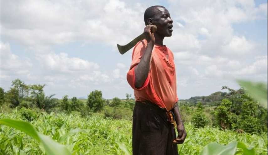 بالصور ألف يوم من الجوع في غانا