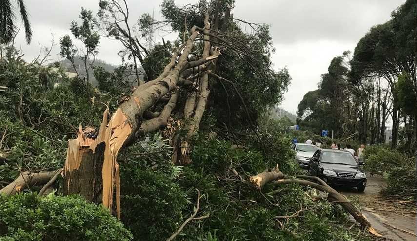 أضرار في عاصفة هاتو في هونغ كونغ وجنوب الصين