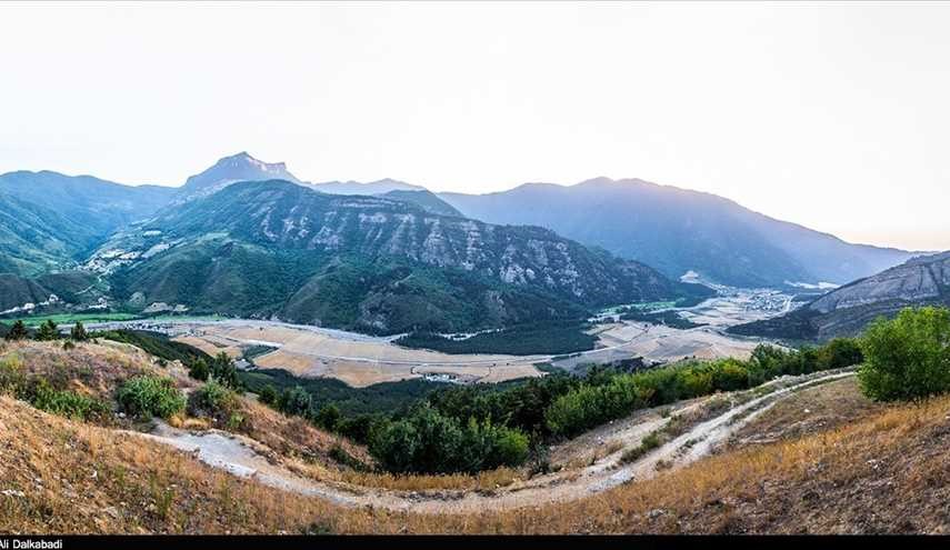 الطبيعة الصيفية في غابة 