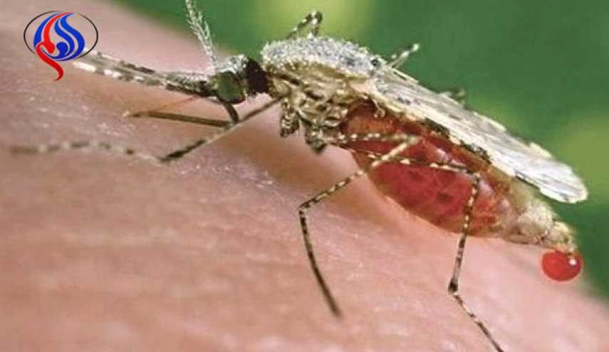 علماء يحذرون من «سوبر ملاريا»