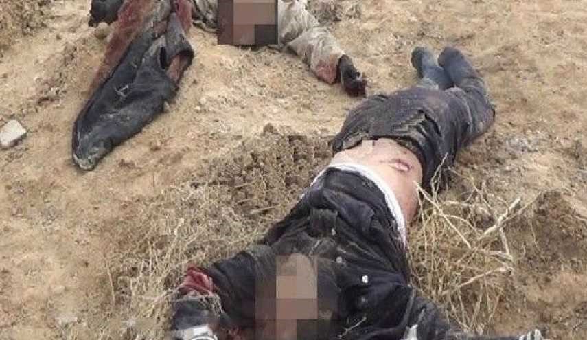 الحشد الشعبي يقتل 4 انتحاريين حاولوا استهداف المواكب الحسينية شمال بلد