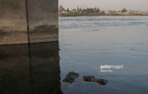 جنازه دو داعشی در رودخانه موصل + عکس 