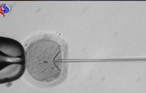 دستکاری دی ان ای جنین انسان برای اولین بار در آمریکا