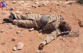 ویدئو ... اجساد متلاشی شده داعشی ها در سوریه

