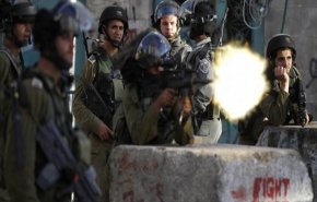 پنج فلسطینی در تیراندازی صهیونیست ها مجروح شدند