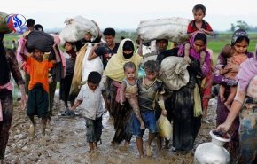 آمار خیره کننده از مهاجرت مسلمانان روهینگیایی به بنگلادش