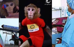 میمون های فضائی ایران بچه دار شدند