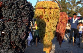 پنجمین جشنواره انگور ارومیه
