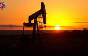 مدیرعامل روسنفت: سال آینده قیمت نفت کاهش می‌یابد