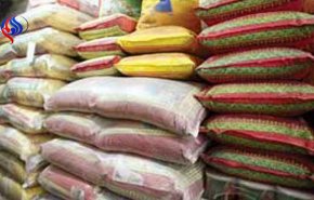 مجلس جلوی واردات ۹۳ هزار تن برنج آلوده اروگوئه‌ای را گرفت