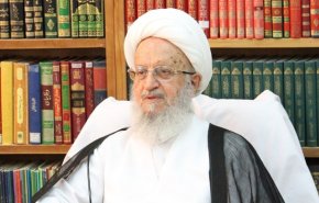 اية الله مكارم شيرازي يؤكد على المتابعة الجادة لوضع المسلمين الروهينغا