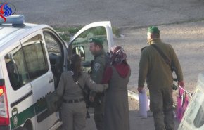 الاحتلال يعتقل طفلاً وامرأة في الخليل بالضفة الغربية 