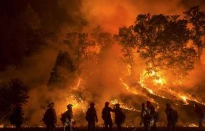 افزایش تلفات آتش سوزی در کالیفرنیا+ویدئو