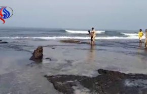 بالفيديو.. شاب يصارع تمساحا بيديه العاريتين
