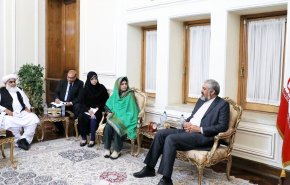 دیدار رئیس مجلس ایالت بلوچستان پاکستان با قائم‌مقام وزیر امور خارجه