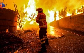 رقم قياسي في اندلاع الحرائق في غابات البرتغال