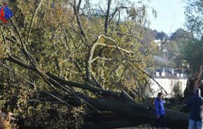 الإعصار أوفيليا يتسبب في انقطاع الكهرباء عن الآلاف في بريطانيا وإيرلندا