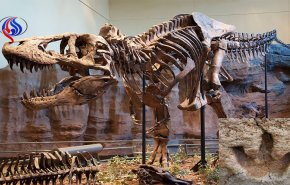 دراسة: ديناصورات ضخمة مفترسة عاشت في مرحلة مبكرة من تطورها