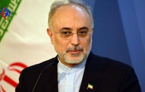 صالحی: نیروگاه های بوشهر نماد همکاری راهبردی ایران و روسیه است