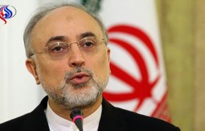 صالحی: آمریکا تلاش می‌کند با هزینه ایران برجام را عقیم کند