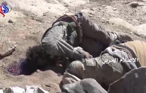 القوات اليمنية تكبد مرتزقة العدوان عددا من القتلى والجرحى