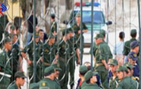 الجيش الجزائري يعتقل ثلاثة عناصر دعم للارهابيين