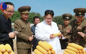 «إنجوغوغي» لحم مزيف لمواجهة المجاعة في كوريا الشمالية!