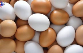 هل البيض البني اغلى من البيض الابيض لانه اكثر فائدة؟ 