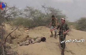 مقتل وإصابة 23 مرتزقاً بعمليات قنص متفرقة بجبهات اليمن