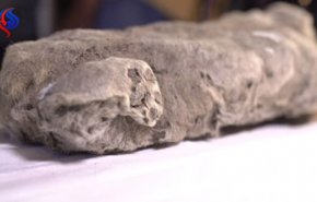 بالفيديو...العثور على جثة أسد الكهف تعود لـ50 ألف سنة