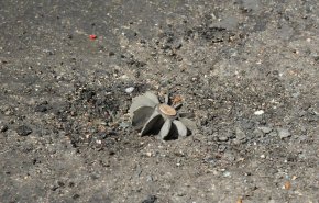 سقوط قذائف صاروخية على محردة في ريف حماة