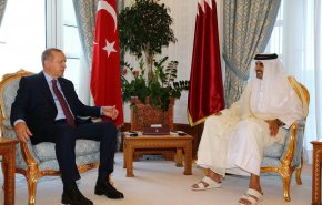 اردوغان با امیر قطر دیدار کرد