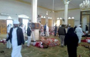 واکنش کشورها و سازمان‌های اسلامی به حمله تروریستی به مسجدی در العریش مصر