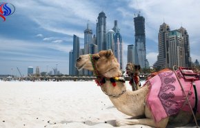 الإمارات تحذر مواطنيها من 5 أفعال الأسبوع المقبل!
