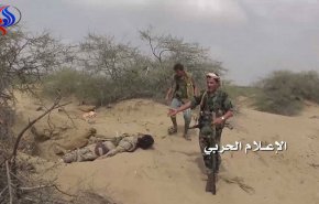 مقتل وإصابة جنود سعوديين ومرتزقة في عمليات للقوات اليمنية 