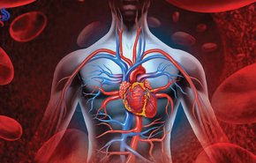الهلام الطبي يساعد على إعادة إنماء عضلة القلب