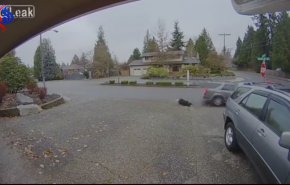 بالفيديو.. امرأة تمسك بلصة بعد سقوطها