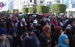 بالفيديو.. ردود الأفعال في تونس على قرار ترامب حول القدس