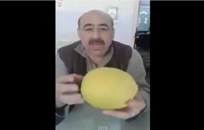 بالفيديو : برتقالة عملاقة في مدينة البرتقال العراقية !