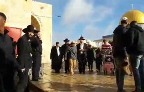 فيديو لعملية اقتحام الصهاينة للمسجد الاقصى المبارك
