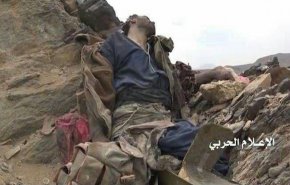 مقتل وإصابة مرتزقة بهجوم على مواقعهم شرق صرواح بمأرب