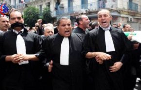 المحامون الجزائریون يستعدون لبدء حركات احتجاجية 