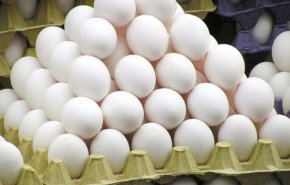 علت گرانی تخم‌مرغ چیست؟ 