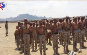 هروب أكثر من 370 ضابطاً وجندياً من معسكر مرتزقة السعودية