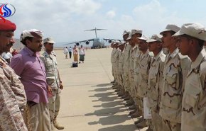  استمع.. هل سكان جزيرة سقطري اليمنية من اصول اماراتية؟
