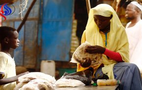 السودان يواجه أزمة خبز حادة مع قفزة أسعار الطحين