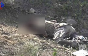 مصرع ثلاثة جنود سعوديين في نجران